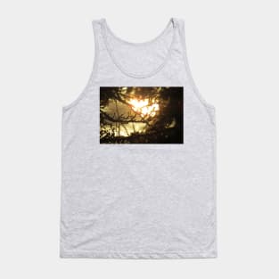 Sunlight Through Branches Tank Top